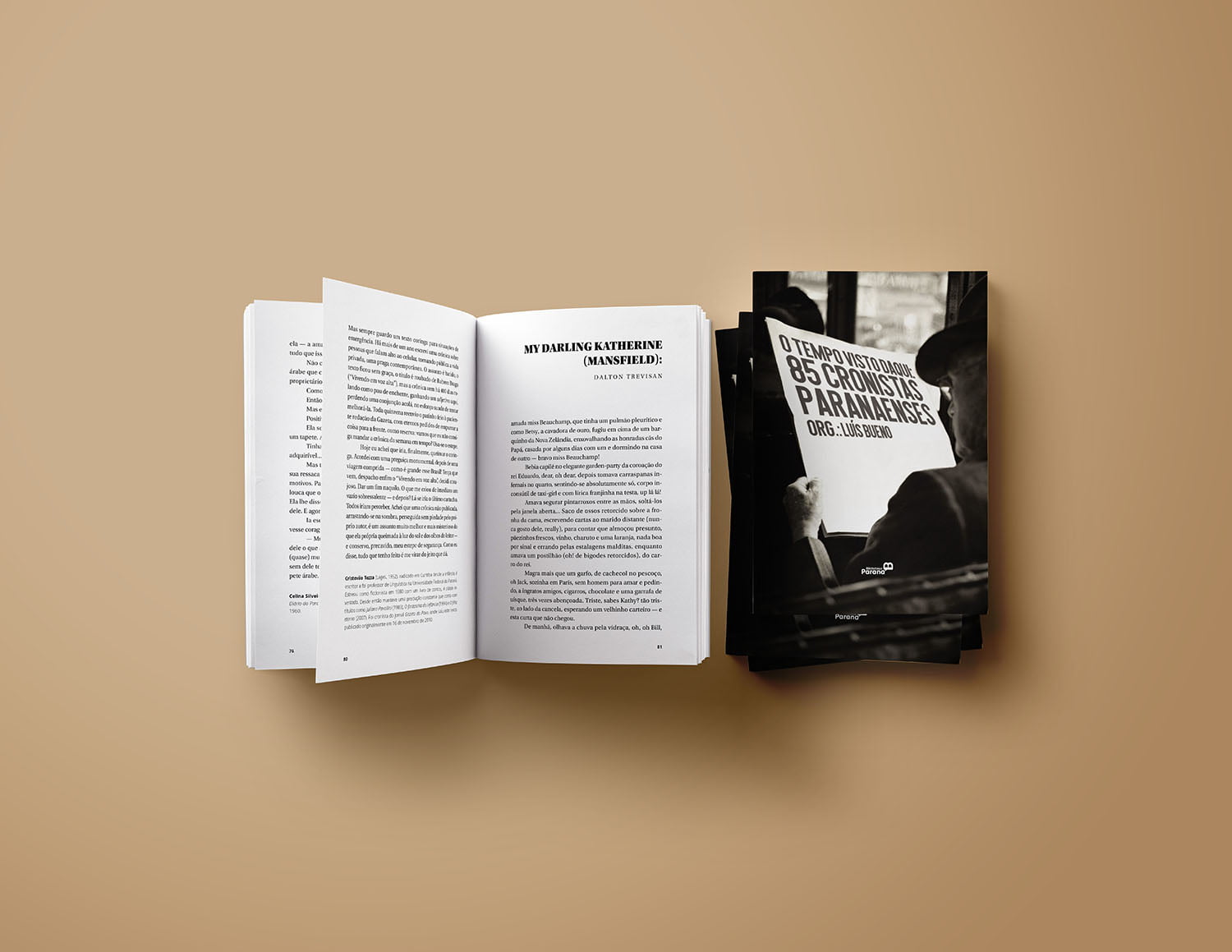 Livro o Tempo Visto Daqui: 85 Cronistas Paranaense