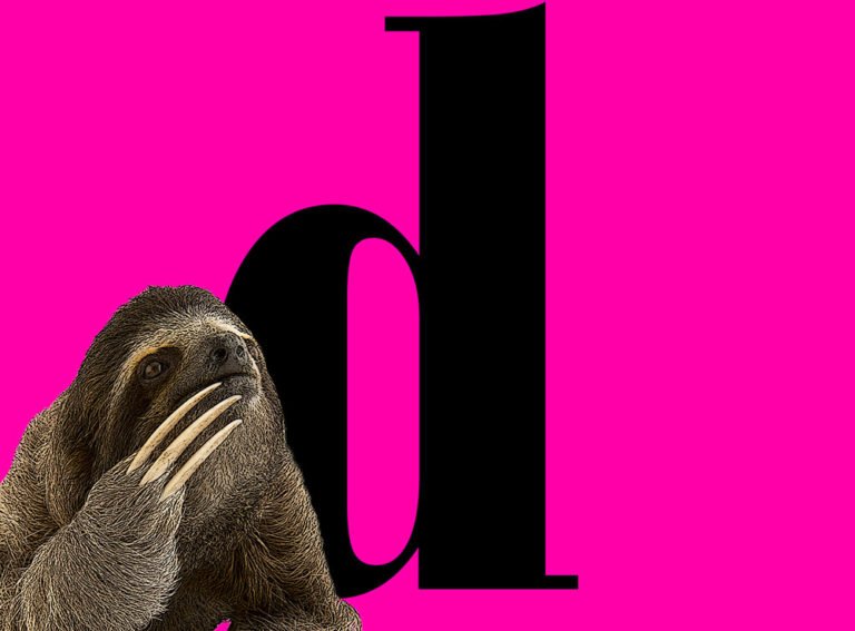 Preguiça e o design