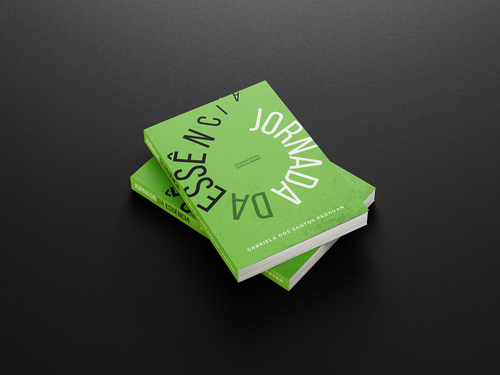 Livro A jornada da essência