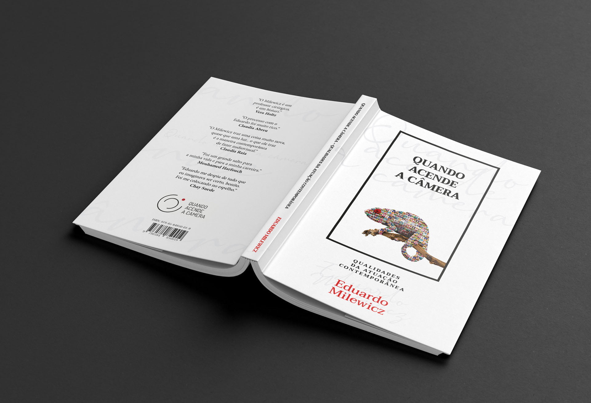 Livro Quando Acende a Câmera